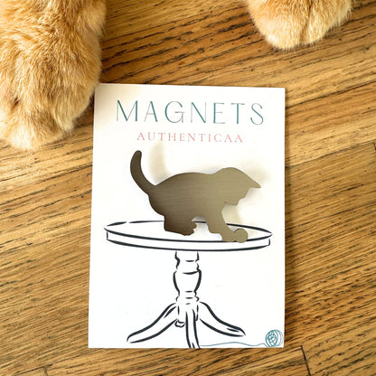 Kitten Magnet - Stainless steel - Illustrated Card - Made in USA - Authenticaa